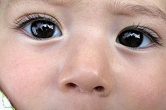 photo "The sight"