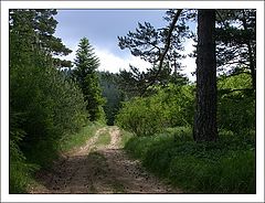 photo "In the Middle of Nowhere"