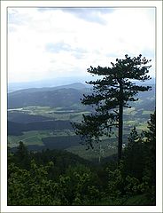 photo "1.3 km"