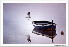 photo "Tranquility"