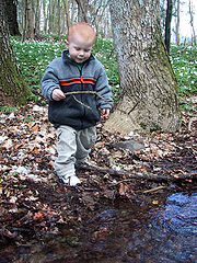 photo "dennis in the woods"