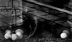 photo "Untitled photo"
