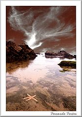 photo "Starsea"