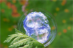фото "Soap Bubble"
