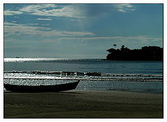 фото "Against light"