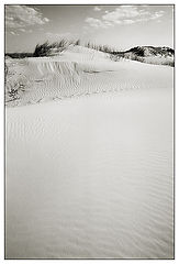 photo "Dune`s velvet"