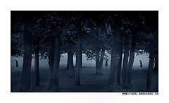 photo "Dusk"