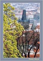 photo "Prague. Spring."