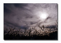 photo "FEAR GOD"