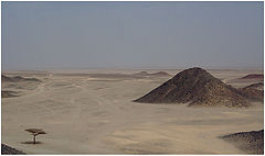 photo "The Arabian Wilderness"