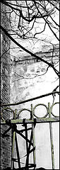 фото "***"