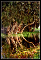 photo "Untitled photo"