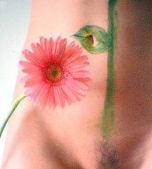 photo "a broken flower"