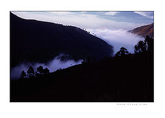 фото "Soft morning"