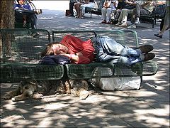 photo "Homeless"