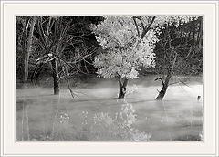 photo "Milk water"