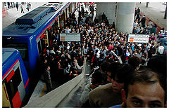 фото "The Daily Crowd"