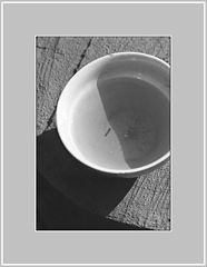 photo "Untitled photo"