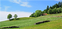 photo "Provincial"