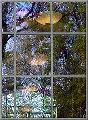 photo "flexing reflex"