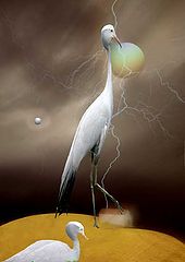 фото "the strange birds"