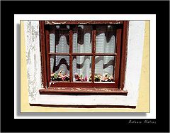фото "windows 3.1"