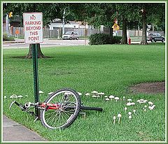photo "Fairy Ring"