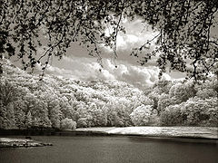 photo "Solitude"