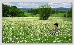 фото "Любит..., не любит..."