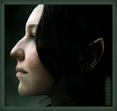 photo "LeprIcON (not human)"