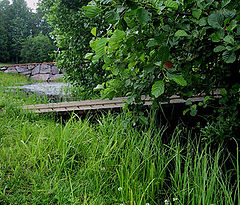 photo "brigde"