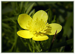 фото "5MM"