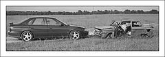 фото "Неожиданная встреча"
