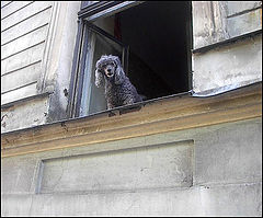 фото "Hello! It`s a Fine Day, Isn`t It?"