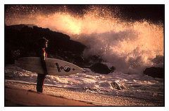photo "Surf # 14"