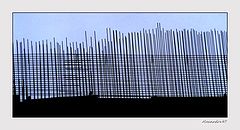 фото "bar chart"