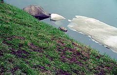 фото "За чертой сезонности"