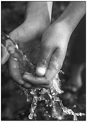 фото "Water"