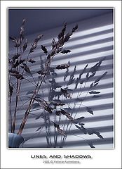 photo "Lines and shadows"