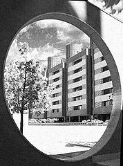 фото "IR study"