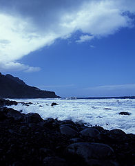 photo "Untitled photo"