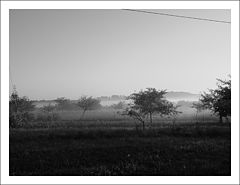 photo "orchard"