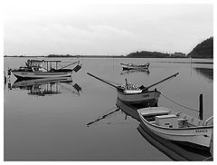 photo "Calms water"