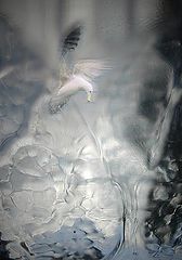 фото "cristal bird"