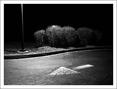 photo "night 5"