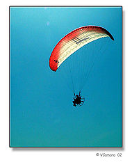 фото "Freedom"