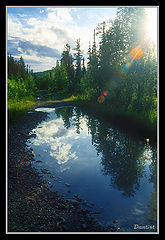 photo "Reflection whilst in transit"