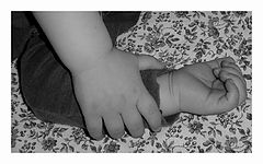 photo "Sleeping"