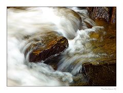 фото "Soft..."