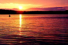 photo "Untitled photo"